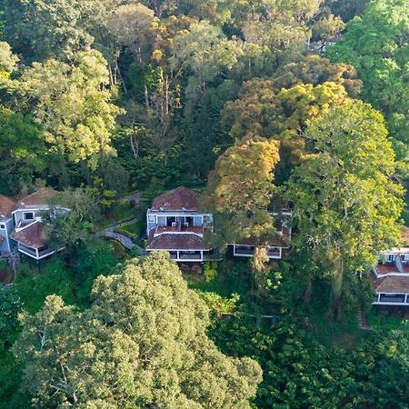 The Tall Trees Munnar Exterior foto
