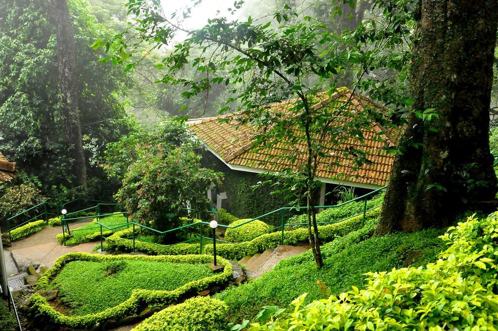 The Tall Trees Munnar Exterior foto