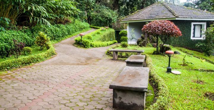 The Tall Trees Munnar Exterior foto
