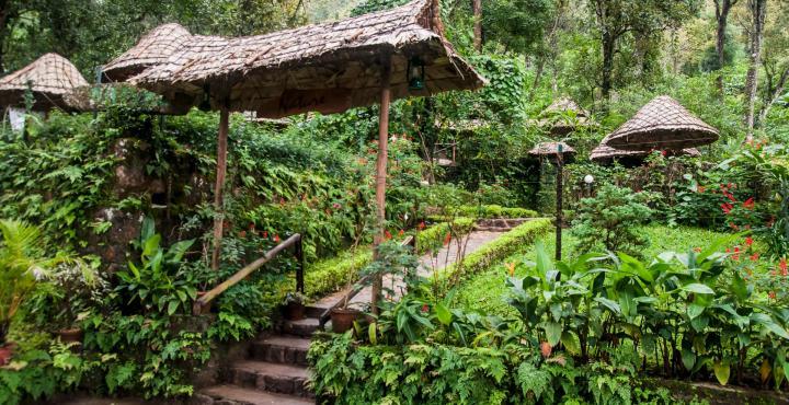 The Tall Trees Munnar Exterior foto