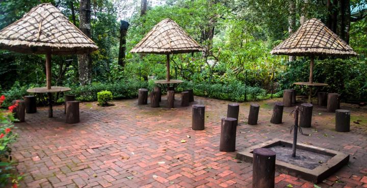 The Tall Trees Munnar Exterior foto