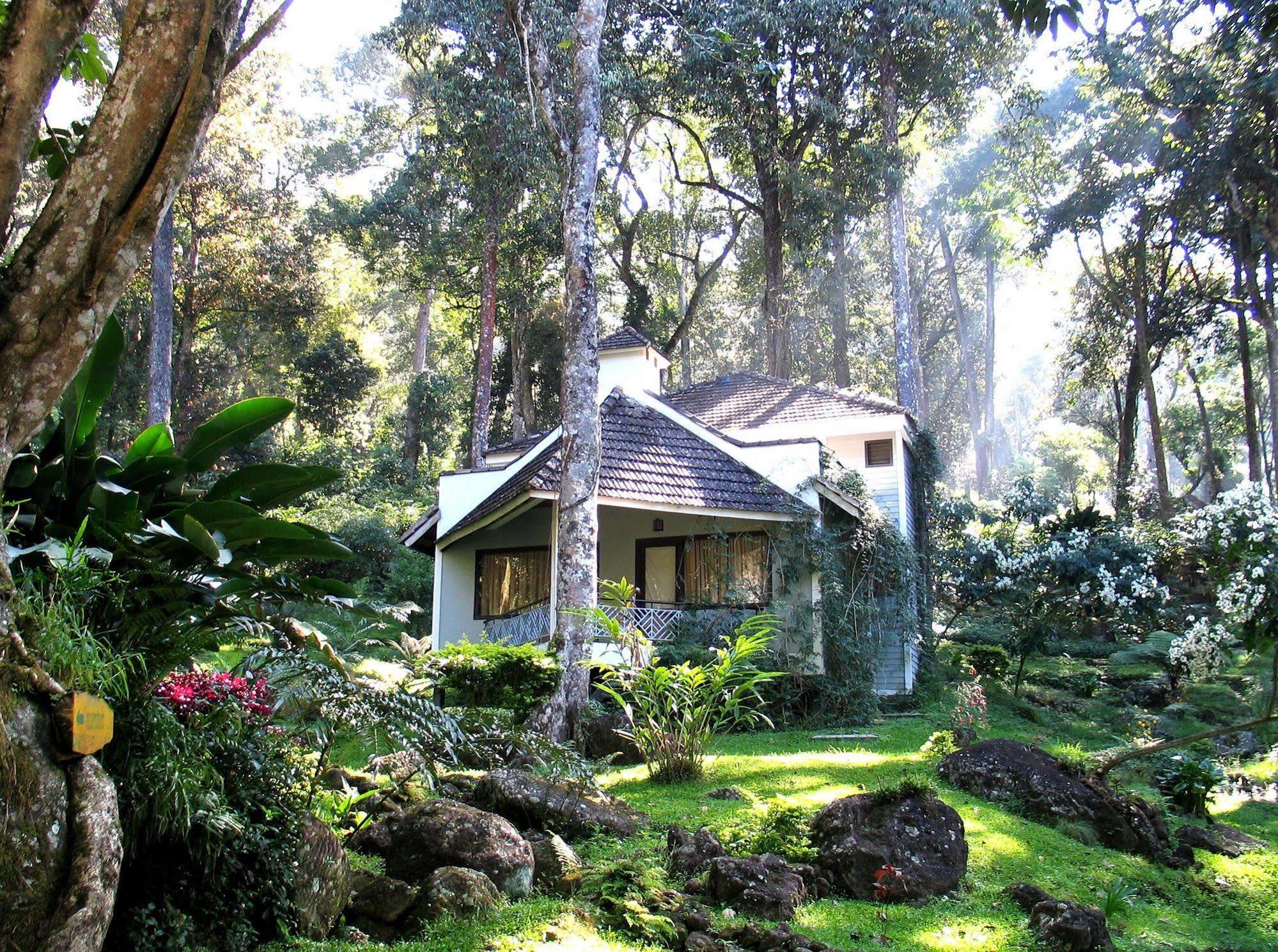 The Tall Trees Munnar Exterior foto