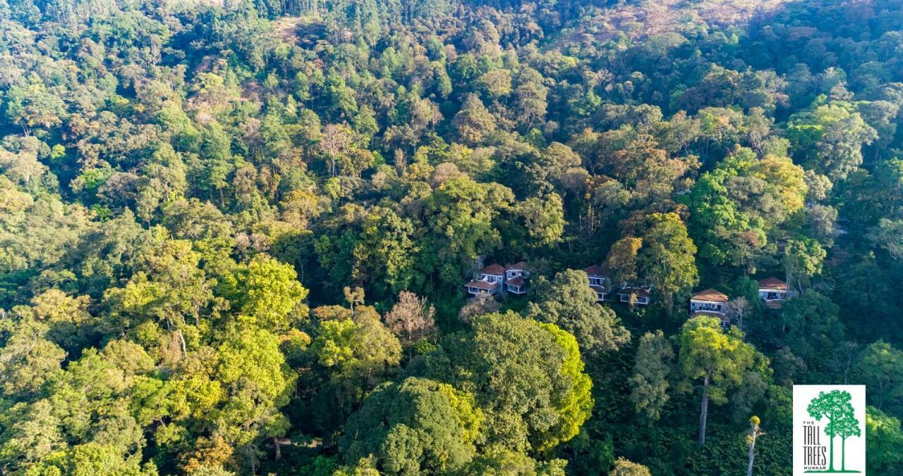 The Tall Trees Munnar Exterior foto